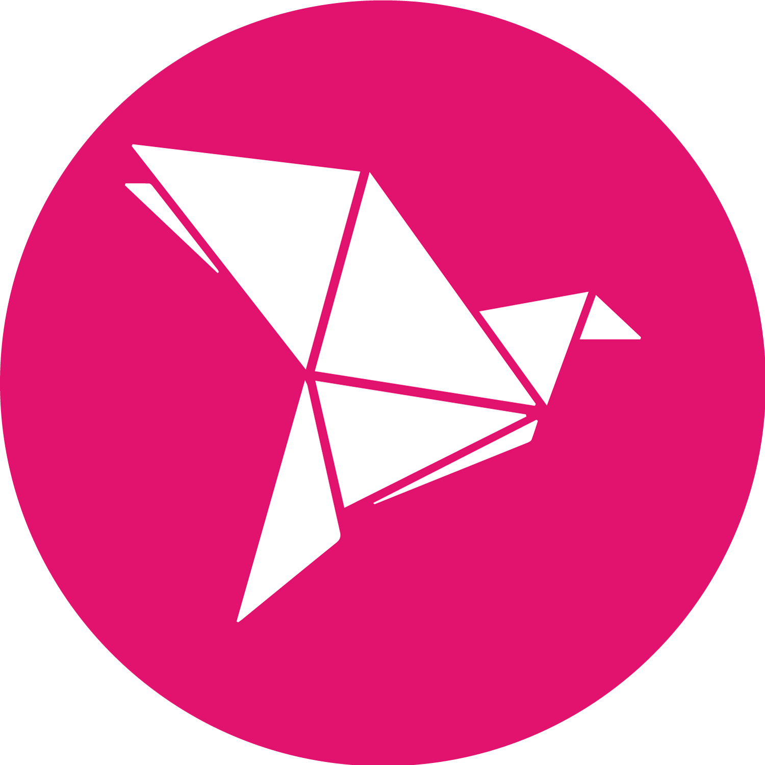 bKash Circle Icon PNG High Quality